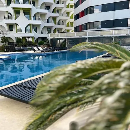 Luxury Apartment